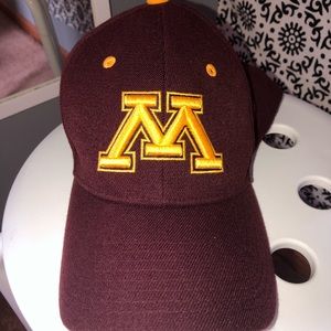 Minnesota hat